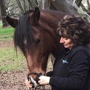 Meet your Posher, Robin